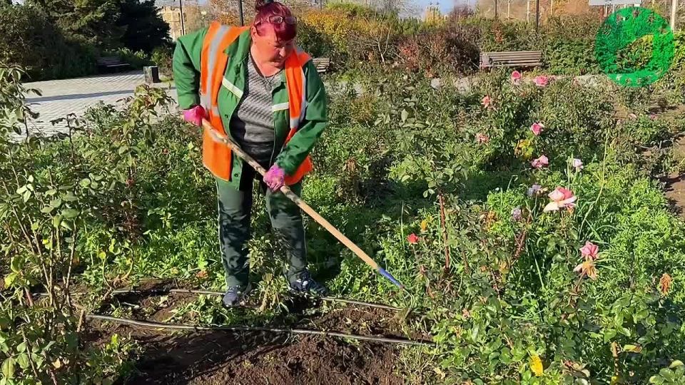 ������ � ������� �������� ������� ������ � ������ ����� �����������