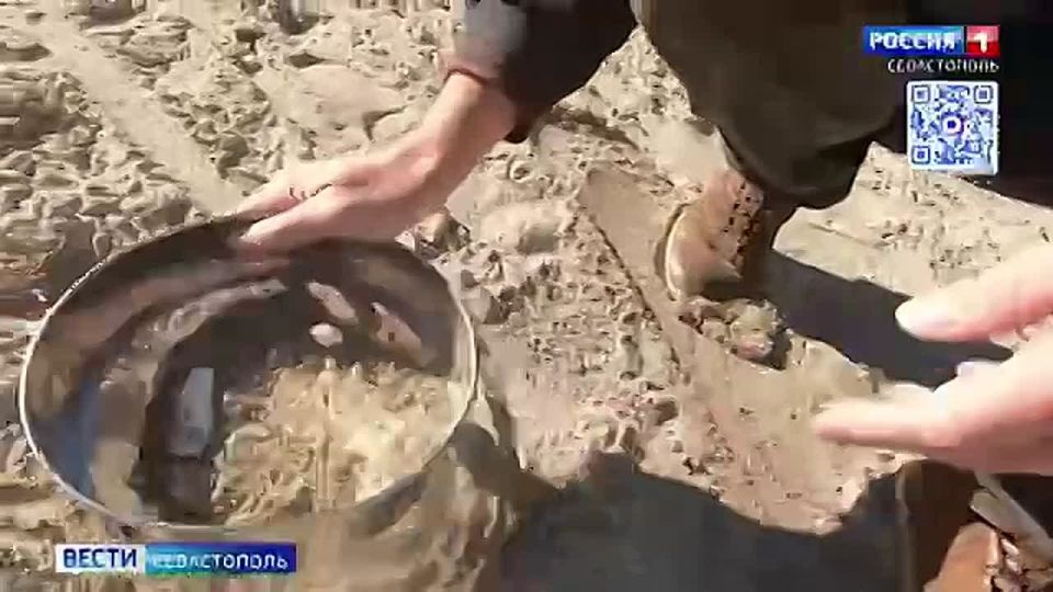 � ������� ������ ������ ������������ ������ � �������������