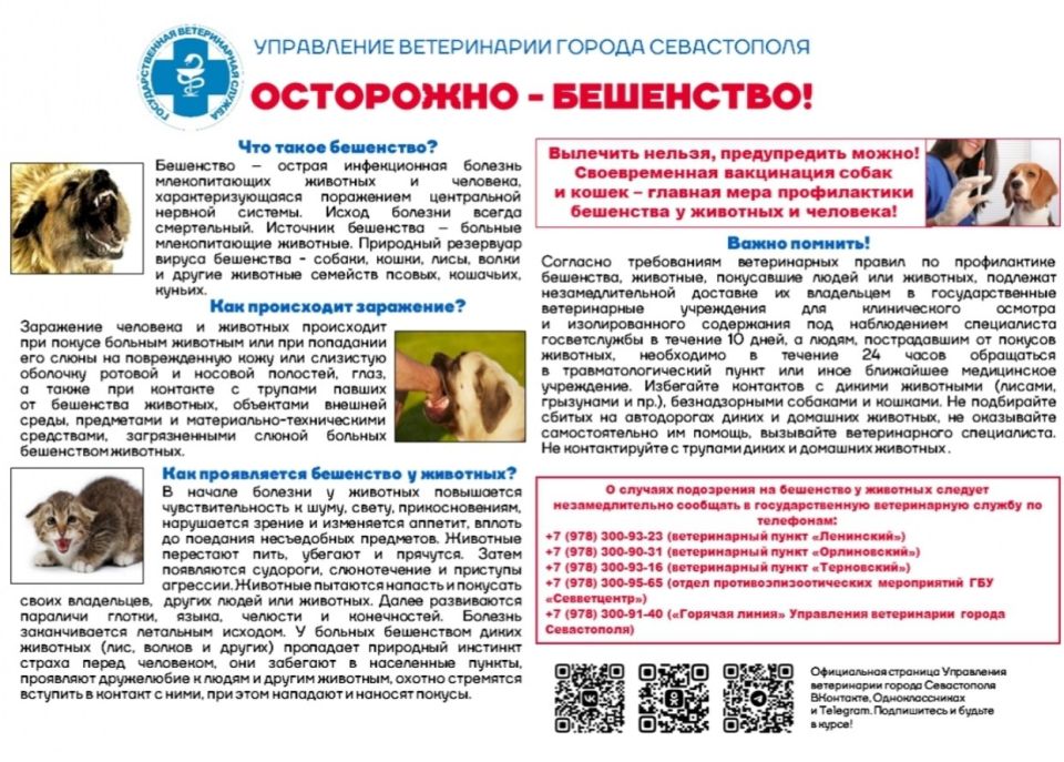 Осторожно - бешенство!. Управление Ветеринарии г. Севастополя информирует об установлении эпизоотического очага бешенства на территории Качинского муниципального округа и напоминает о важности соблюдения владельцами собак...