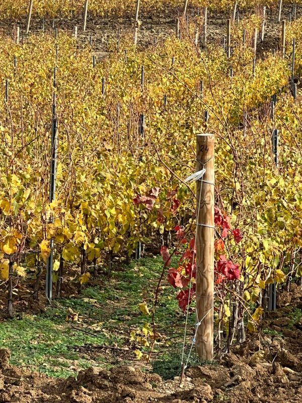 Доброго утра, друзья!. В Севастополе без осадков Доброго утра, друзья!. В Севастополе без осадков