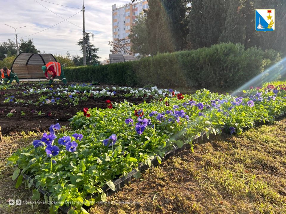 В сквере Юрия Гагарина создали цветочные ковры по эскизам детей-победителей конкурса «Рисуй цветами» В сквере Юрия Гагарина создали цветочные ковры по эскизам детей-победителей конкурса «Рисуй цветами»