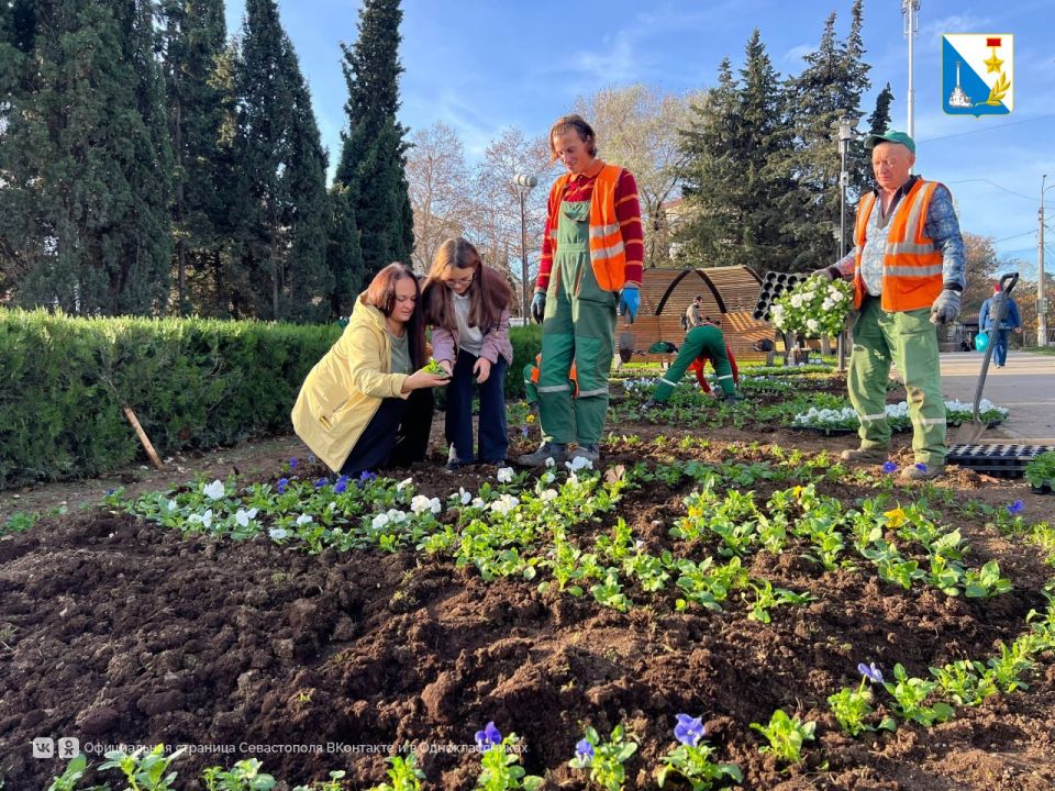 В сквере Юрия Гагарина создали цветочные ковры по эскизам детей-победителей конкурса «Рисуй цветами» В сквере Юрия Гагарина создали цветочные ковры по эскизам детей-победителей конкурса «Рисуй цветами»