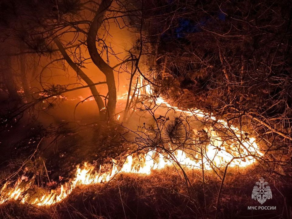 Пожар в Балаклаве потушили силы МЧС России