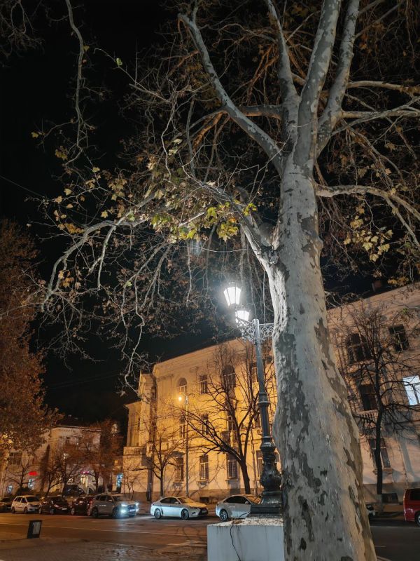 ����������� �������� �� ���������