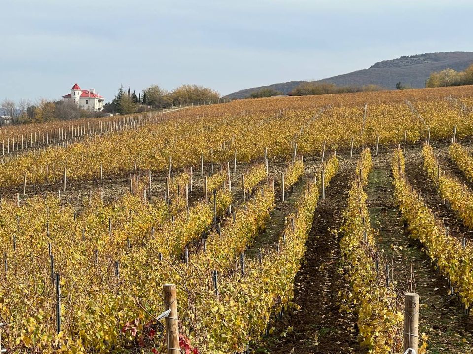 Доброго утра, друзья!. В Севастополе без осадков Доброго утра, друзья!. В Севастополе без осадков