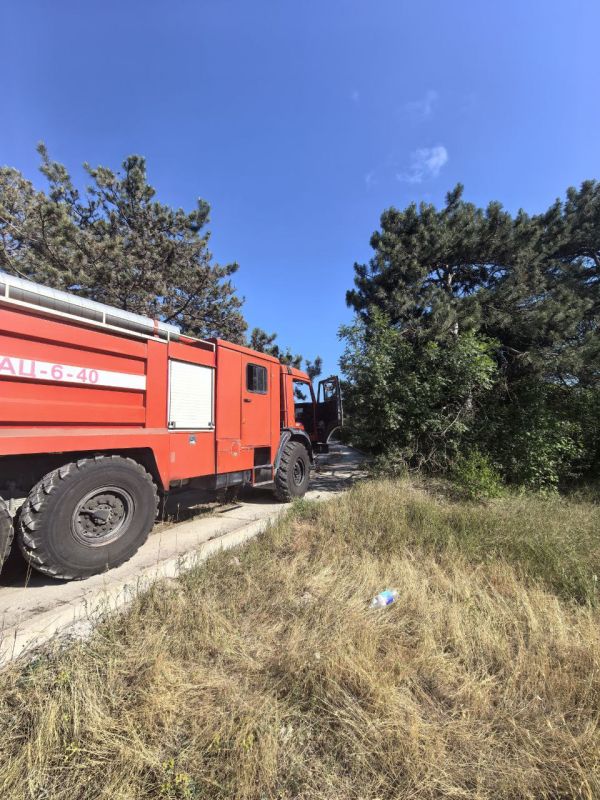 В ходе проведения заседания Штаба по координации деятельности по тушению лесных пожаров в ЮФО и СКФО заместителем руководителя Департамента лесного хозяйства по ЮФО отмечено высокое качество работы Севприроднадзора в части...