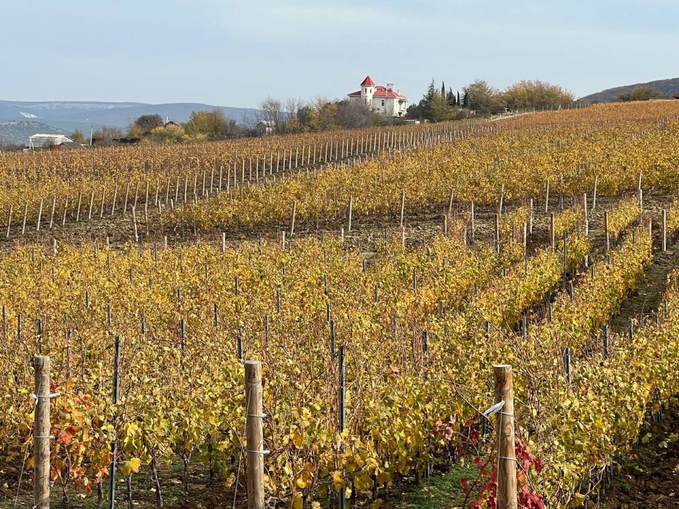 ������� ����, ������!. � ����������� ��� �������