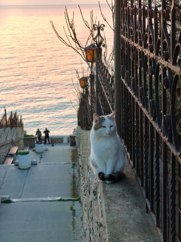 � ������ �����, ������!. � ������� � ����������� ��� �������