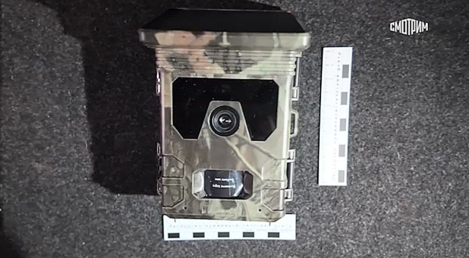 �� ���������� ������� �� ������������� ����������� � ����������� �������� ���������, ������������� ������ � ���