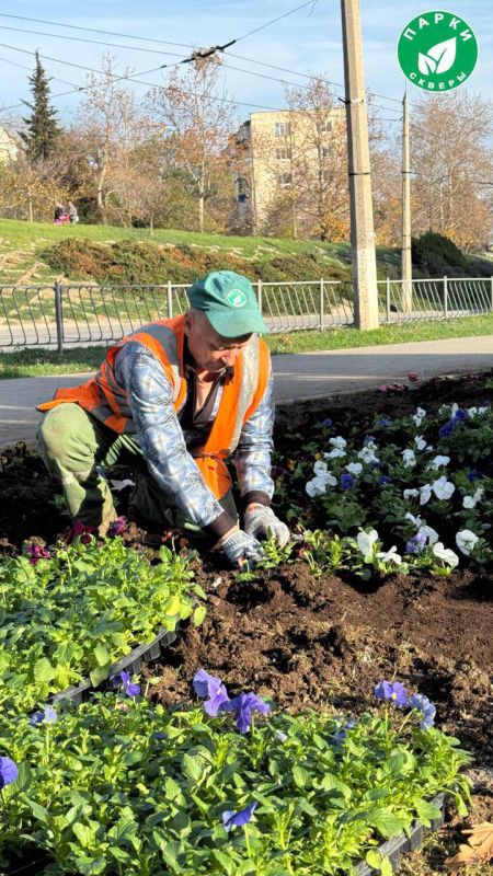 ����� ������ �������� � ������ �������� �� ������� ����� � ����������