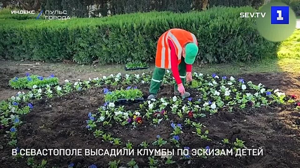 � ����������� �������� ������ �� ������� �����