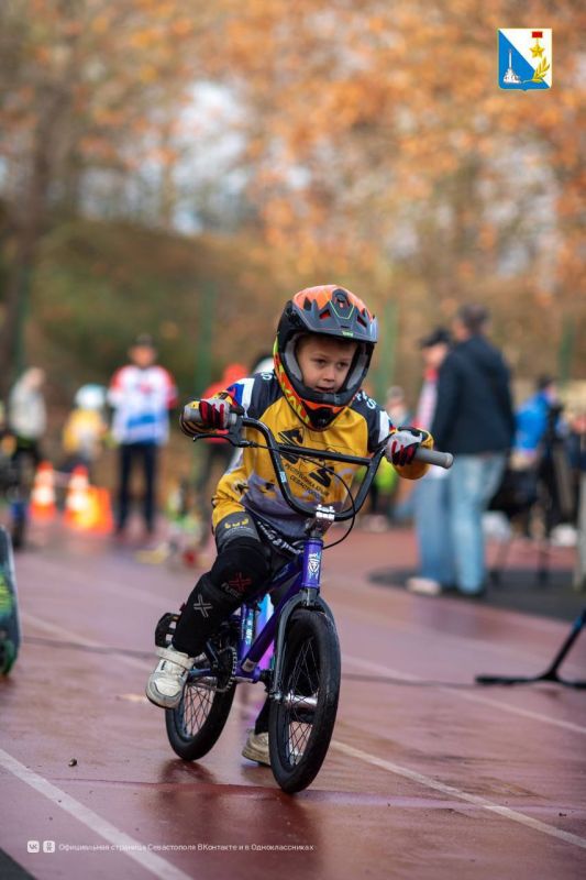 � ����������� ������ ������������ �� ���������� ���, ����������� 80-����� ������� ������ � 110-����� �� ��� �������� ������� ��������