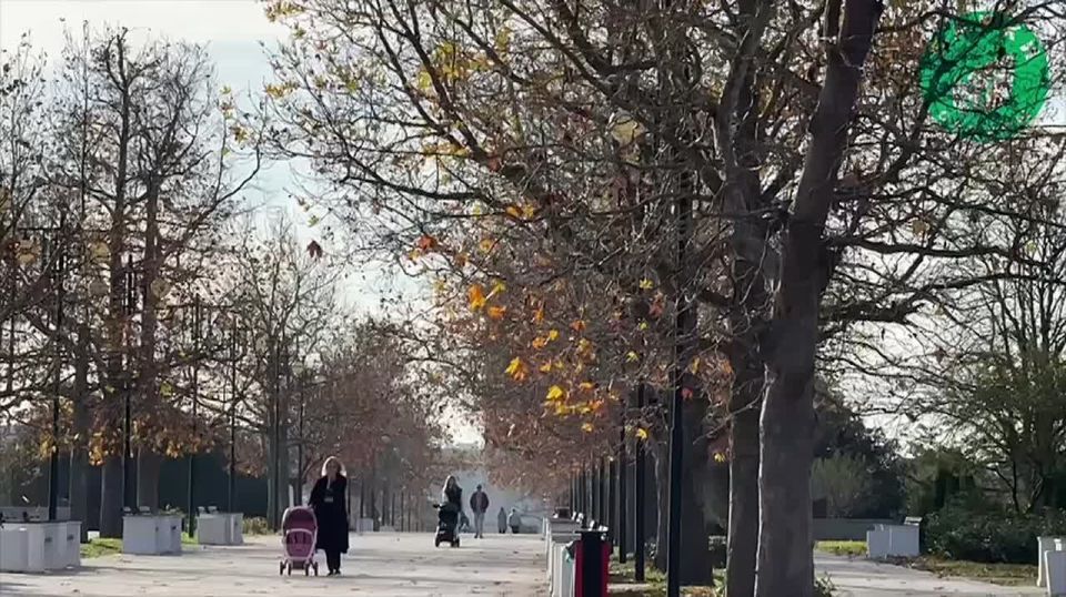 � ����� ������ ��������� ������ �� ���������������