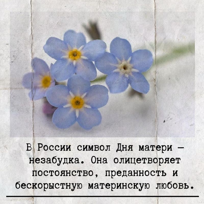 � ���� ������!. � ��������� ����������� ������ �� ������� ����� ����� ����� ���, ��� ������� ��� �����, ������ � ����������� ������