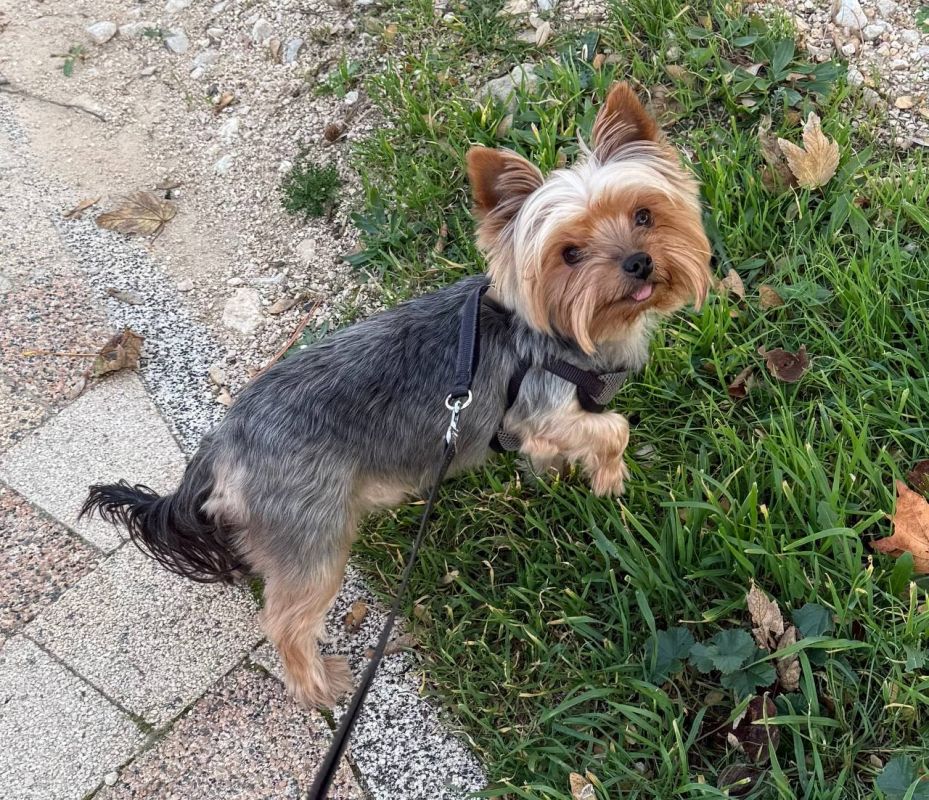 ������� ��� ����� ����, ����� ����� �������� ������������ ���������� ������ ��������!