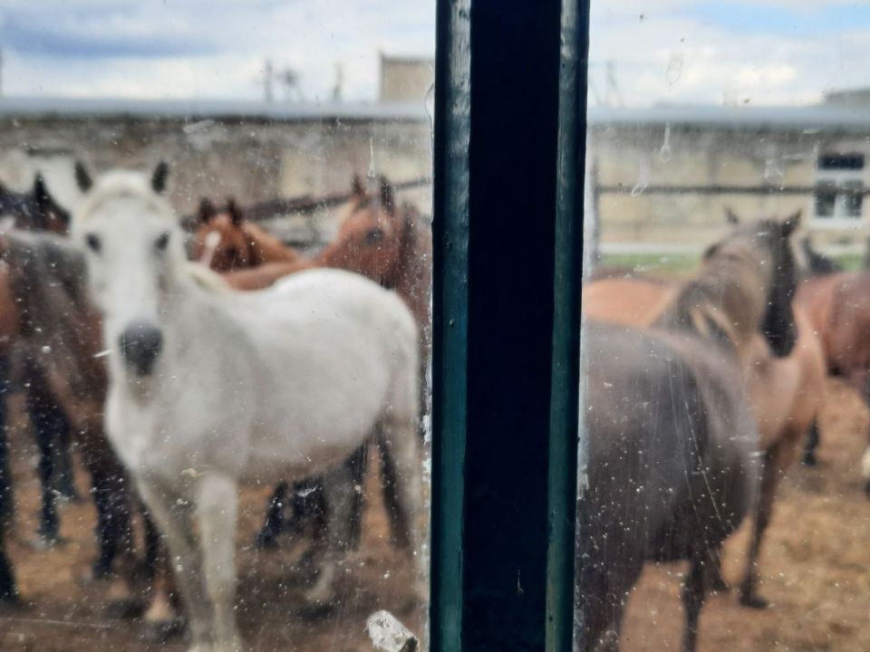 300 ������� ��� ���? � ������ ��������� ������� ����� ������������ ����� ������ � �����