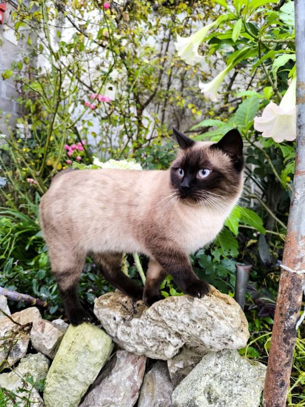 � ������ �����, ������!. � ����������� ���� �����, ����� ���� �������� 5-10�/�