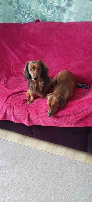 ������� ��� ����� ����, ����� ����� �������� ������������ ���������� ������ ��������!