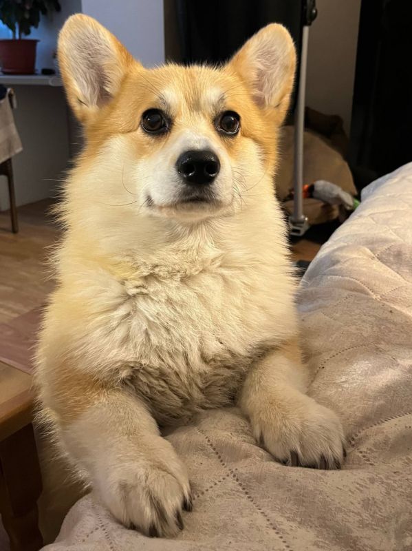 ������� ��� ����� ����, ����� ����� �������� ������������ ���������� ������ ��������!