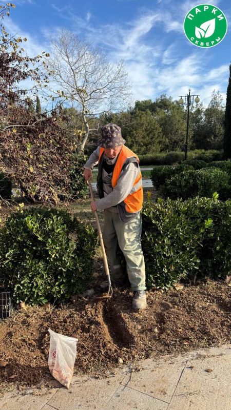 � ����� ������ ��������� ������ �� ���������������