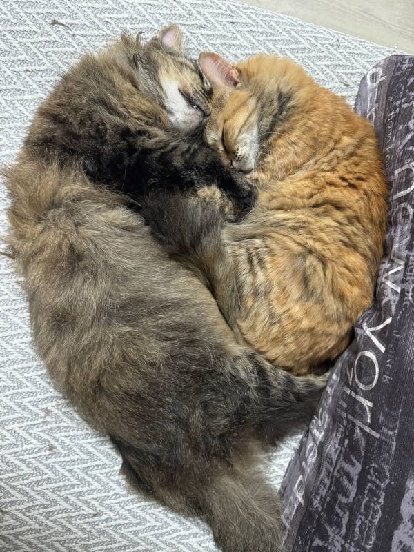 ������� ��� ����� ����, ����� ����� �������� ������������ ���������� ������ ��������!