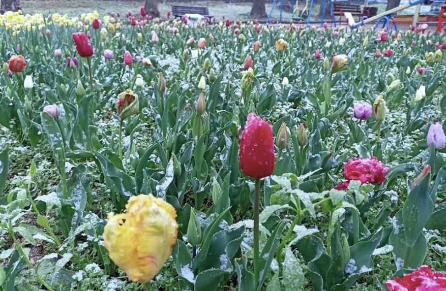 ������ � ����������� �� ����� ��� 2025