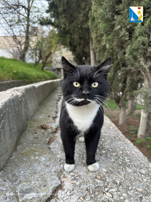 ��������������� � ���������� ����� ���� ��� �������