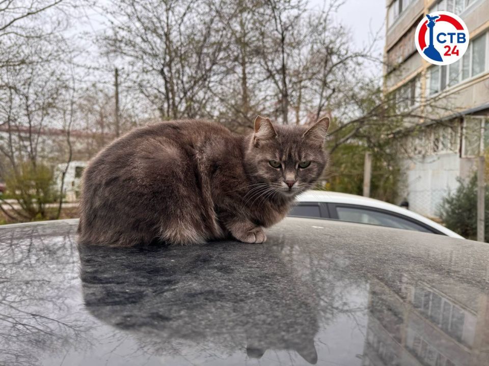 327 �������� ������� ������������ � ����������� ������ �����������