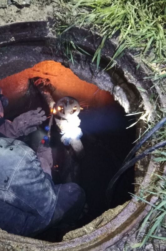 ���������: ������� �������. ���������� ������ ���������