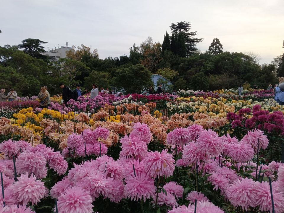 ������� � ������ ��� ������� ������������