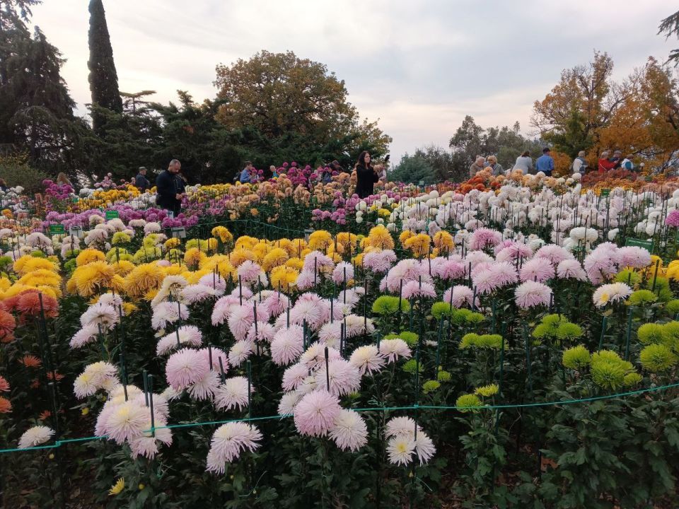 ������� � ������ ��� ������� ������������