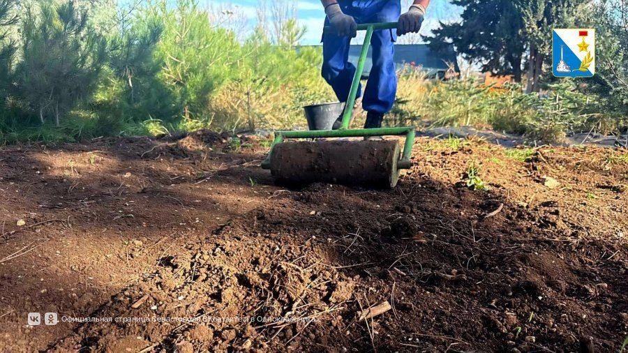 ���������� � ������ ������������� ����� ������ � ������������ ��������