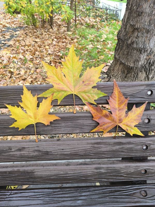 Доброго декабрьского утра, друзья!