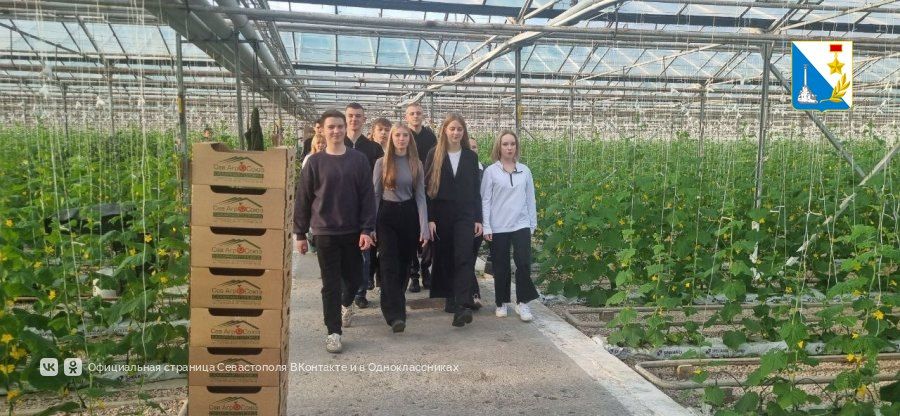 Севастопольские школьники из агроклассов проходят практику на сельхозпредприятиях города Севастопольские школьники из агроклассов проходят практику на сельхозпредприятиях города