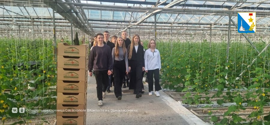 Севастопольские школьники из агроклассов проходят практику на сельхозпредприятиях города Севастопольские школьники из агроклассов проходят практику на сельхозпредприятиях города