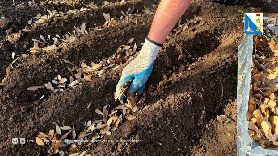 ���������� � ������ ������������� ����� ������ � ������������ ��������