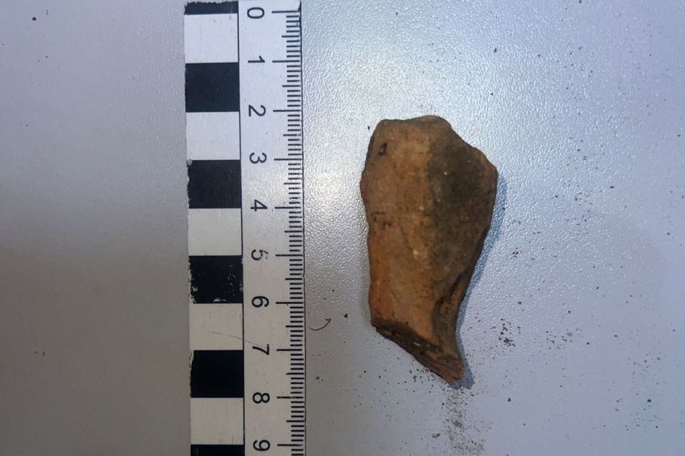 � ����������� ����������� ��������� � ��� ��������� ���� � ����������� ������� ���������������� ��������