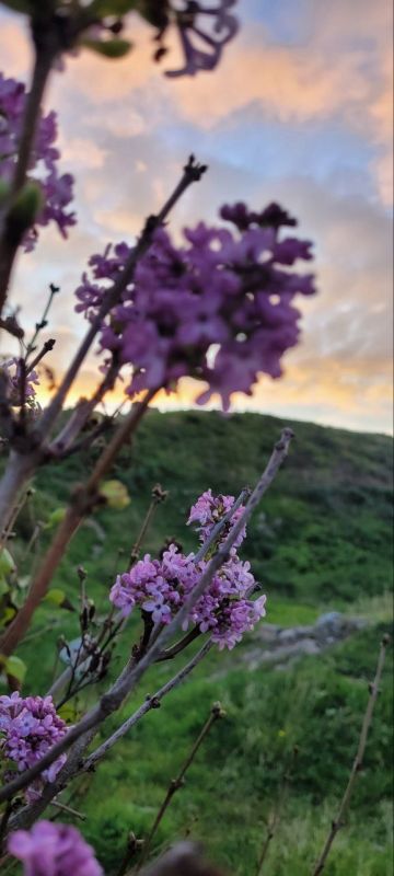 � ��������� ���������-. � ����� 3 �������