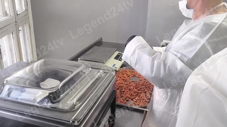 Креветка в шоколаде. Такой уникальный продукт скоро появится на прилавках Севастополя