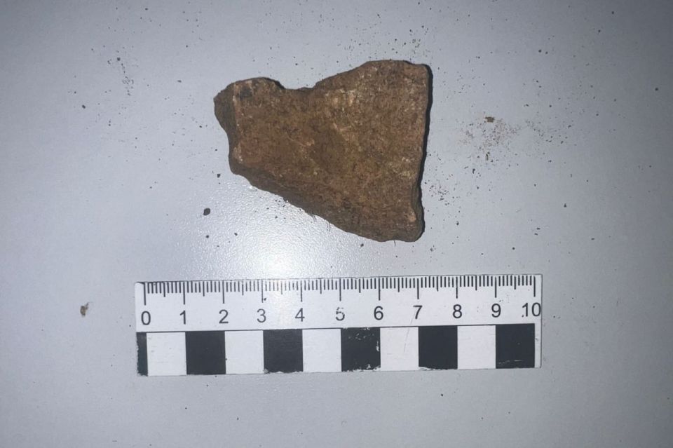 � ����������� ����������� ��������� � ��� ��������� ���� � ����������� ������� ���������������� ��������