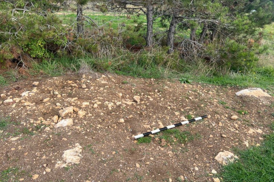 � ����������� ����������� ��������� � ��� ��������� ���� � ����������� ������� ���������������� ��������