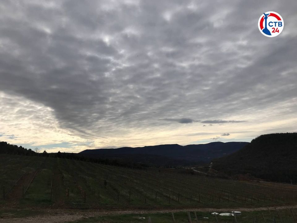 ������������� ����������� ���������� ���������� ������� ������������ � �������-������������� ��������������