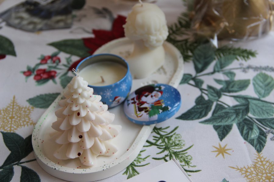 В Кадровом центре «Работа России» Севастополя прошел форум вакансий «Время возможностей для СВОих» для участников СВО и их близких В Кадровом центре «Работа России» Севастополя прошел форум вакансий «Время возможностей для СВОих» для участников СВО и их близких