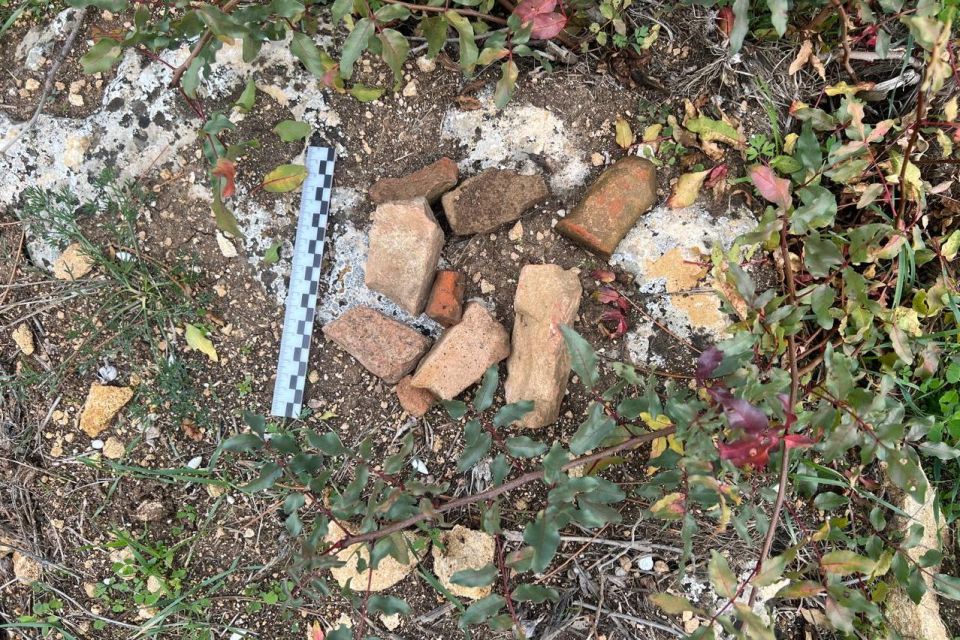 � ����������� ����������� ��������� � ��� ��������� ���� � ����������� ������� ���������������� ��������