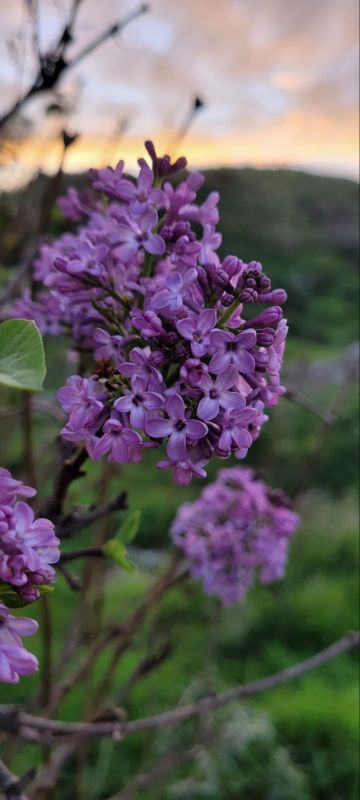 � ��������� ���������-. � ����� 3 �������