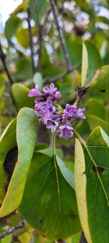 � ��������� ���������-. � ����� 3 �������