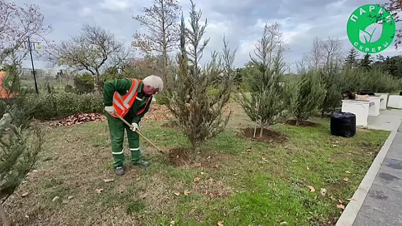Прогулки по зимнему городу прекраснее благодаря сотрудникам «Парков и скверов»