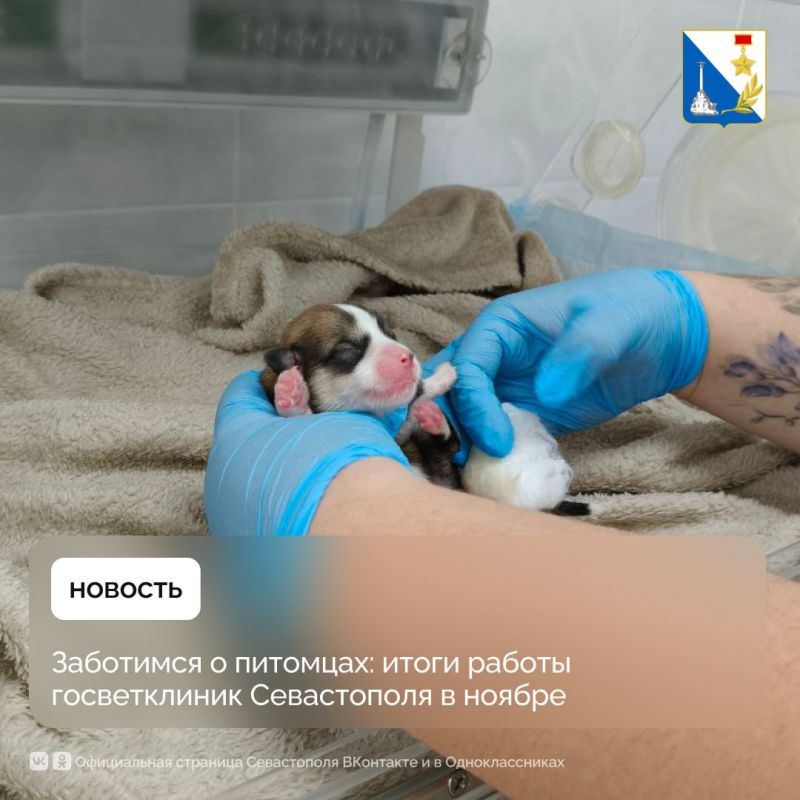 ����� 500 �������� �������� ������ � �������������� ����������� � ������