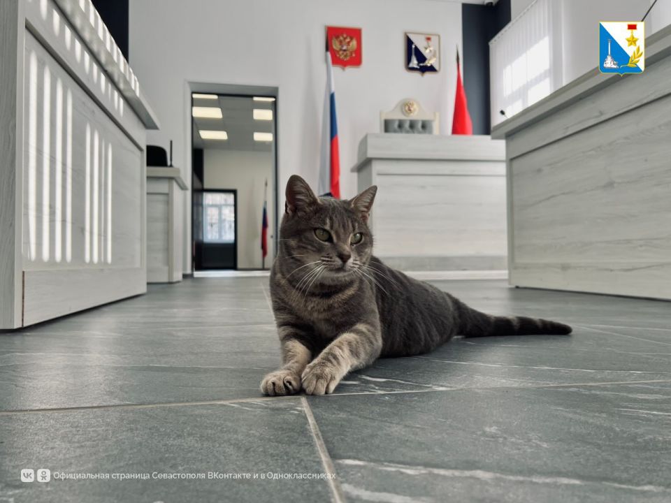 ��������� �������� ������� �����������