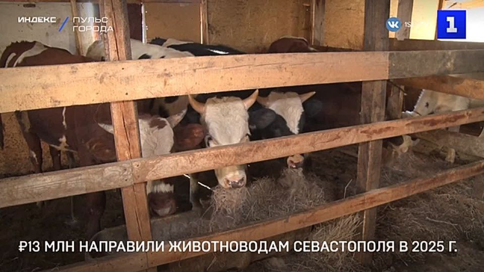 ����� 13 ��� ���. �� ���������� ������� ���������� � 2025 �. �� ��������� ���������������� ����������� �����������